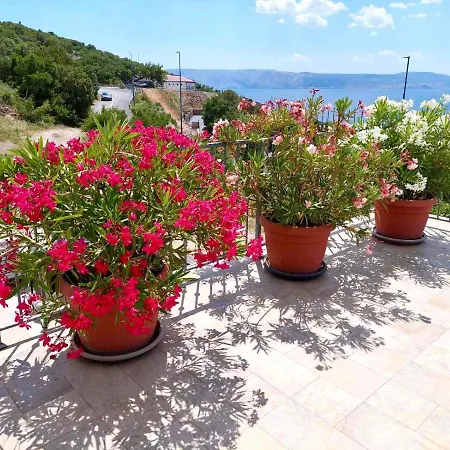 Marijana * 클레노비차